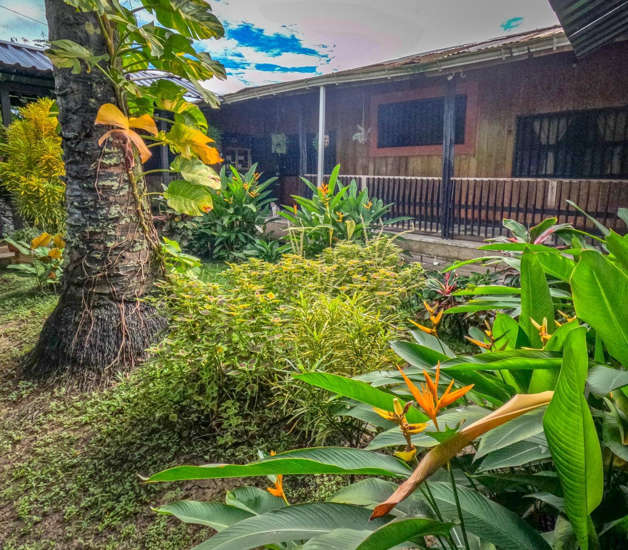 Hostel Casa De Las Palmas Tours Leticia Zewnętrze zdjęcie